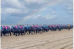 Cora Deutekom maakt winnende foto van 500 Friese paarden